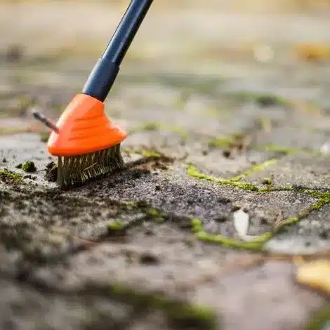 Brosse dure pour pavés
