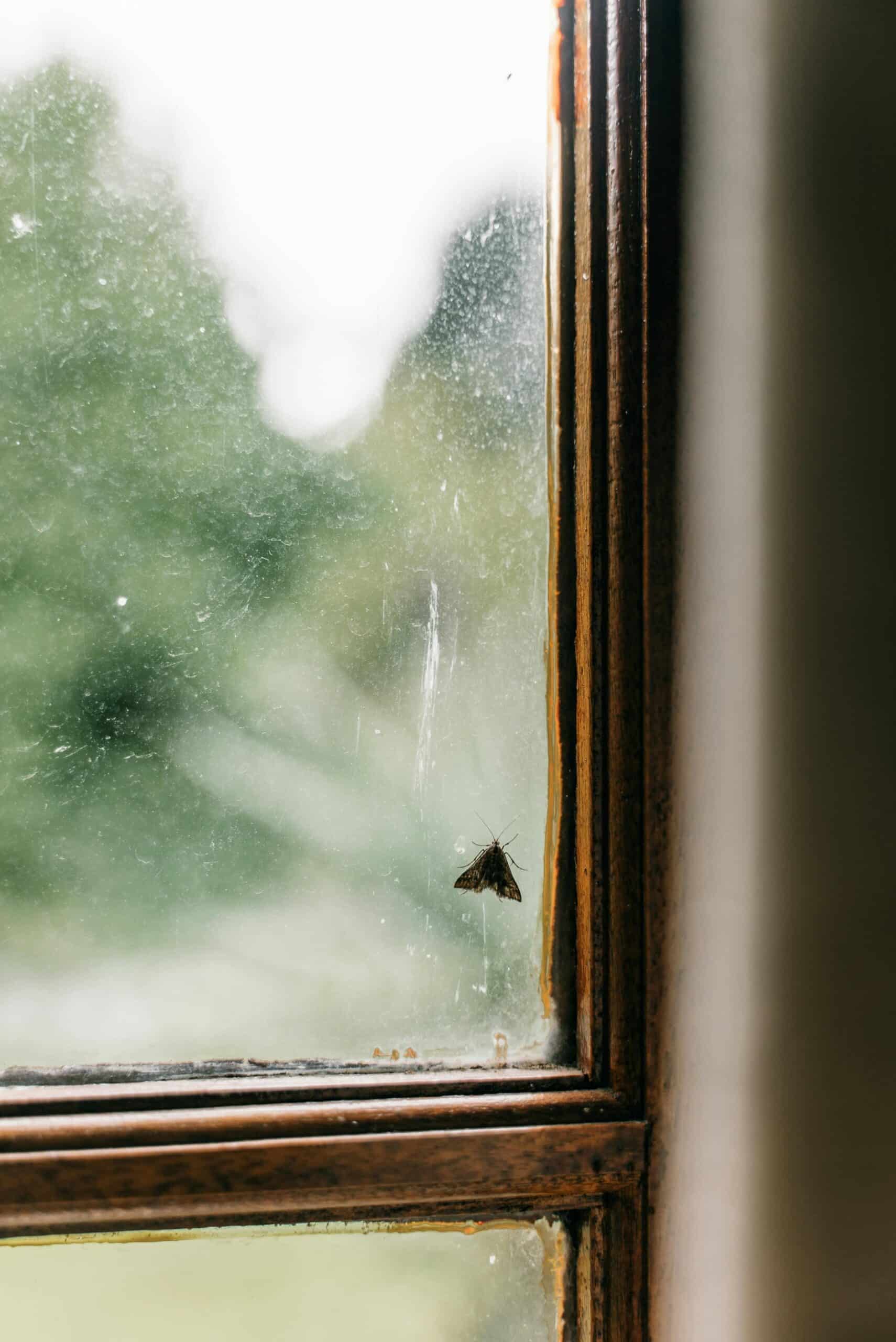 Service lavage vitres pour fenêtres sales