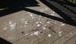 Fientes piegons corrosives surfaces terrasse