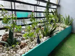 Dispositif anti-pigeons balcon