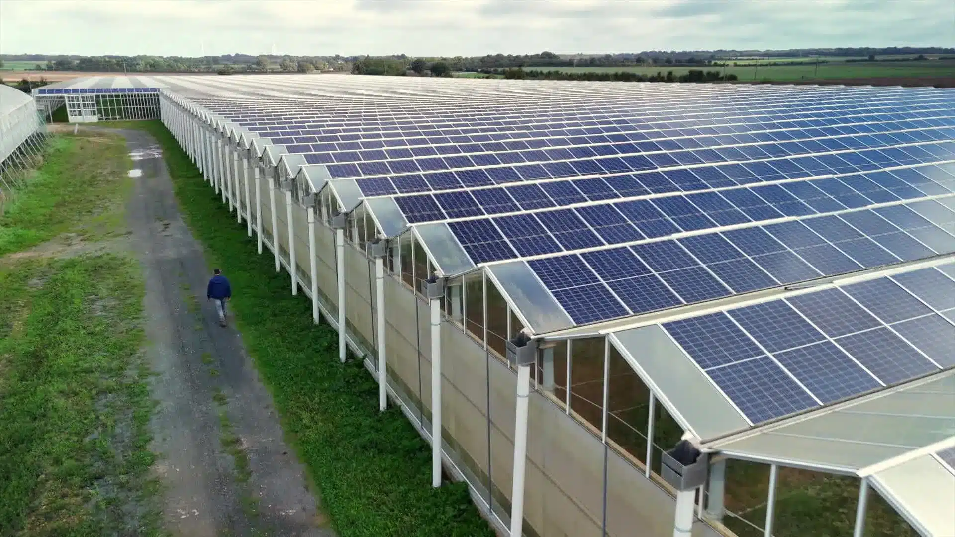 Nettoyage serres photovoltaïques