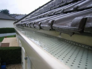 Pare-feuille Gouttière