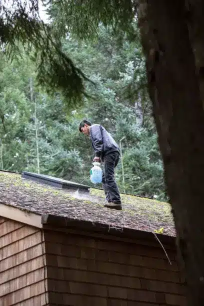 Produit traitement anti-mousse toiture